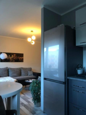 Cozy apartment near the city centre and Emajõgi